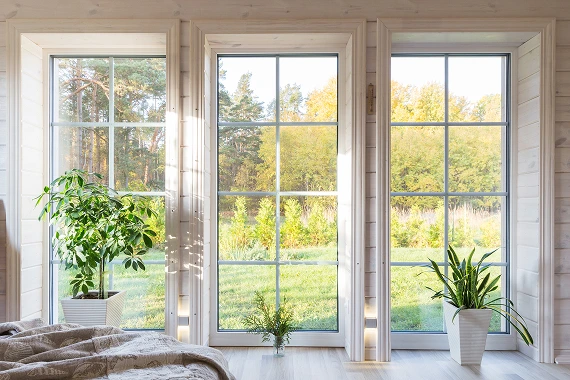 Residential-window-image